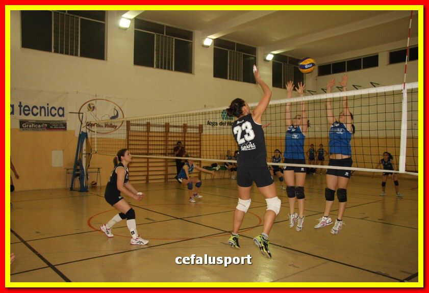 150508_Primula 077_tn.jpg